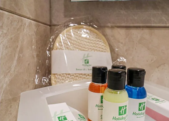 Hotel - Centre By Ihg Bursa